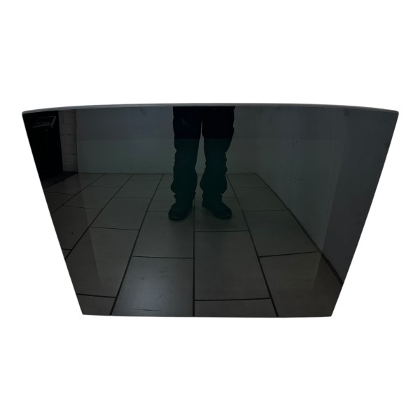 Glasdeckel Panoramadach Hebedach VW Golf 7 Limousine 5G6877071