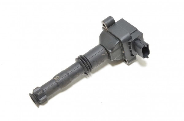 Zündspule Zündmodul Stabzündspule Porsche 911 996 Boxster 986 99660210200
