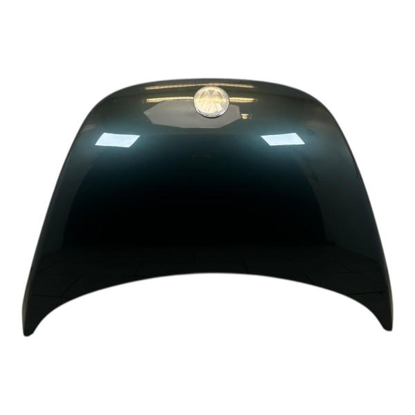 Motorhaube Fronthaube Frontklappe VW New Beetle 9C 1Y grün LB6X 1C0823031M