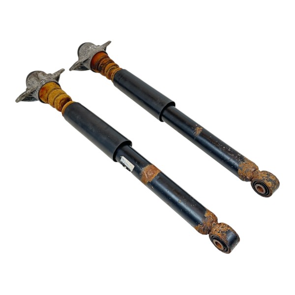 Stoßdämpfer Set hinten Dämpfer Hinterachse Seat Alhambra VW Sharan 7N 7N0513049L