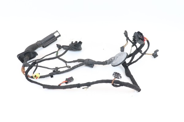 Türkabelbaum vorne links Leitungssatz Fahrertür Audi A6 4G 4G5971029BF
