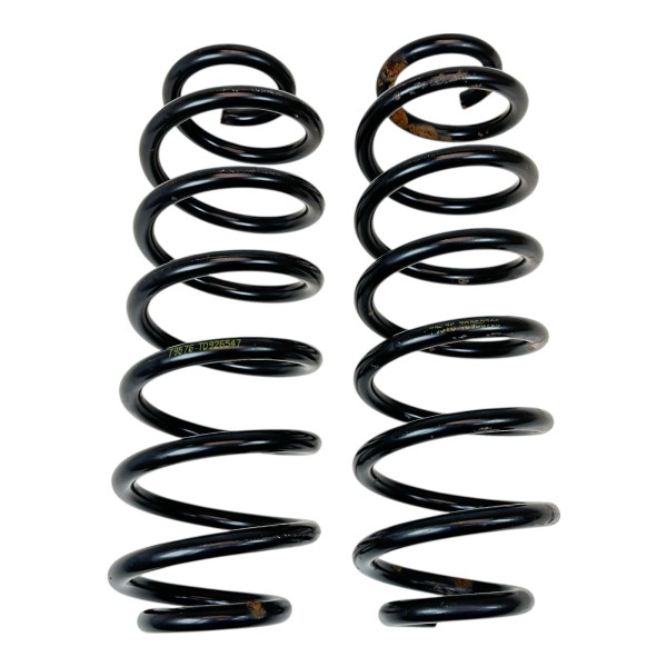 Federn Hinterachse Fahrwerksfedern hinten VW Passat B7 362 365 Tiguan 5N